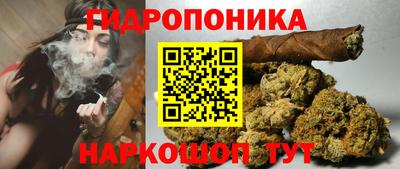 тгк Ипатово